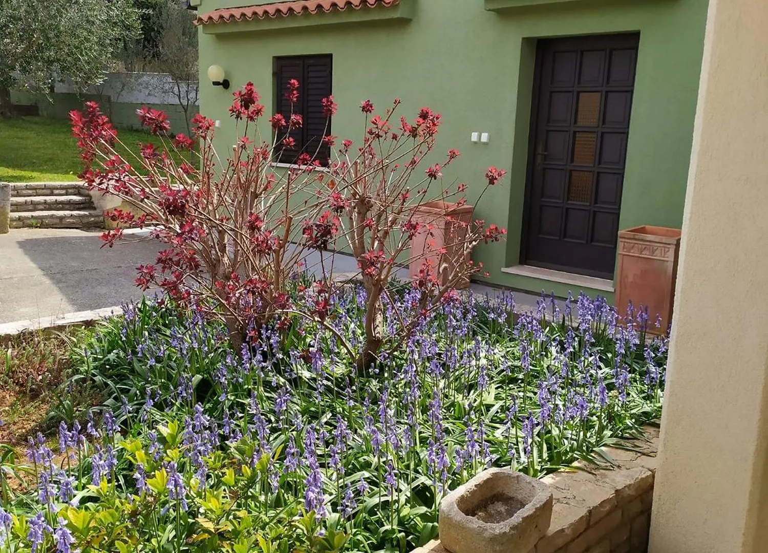 Apartmani Tara Medulin Croacia